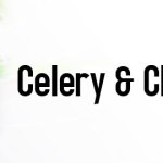 celery-chicken-stir-fry