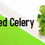 reviving-wilted-celery