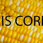 when-is-corn-ripe