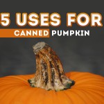 Title_5-Uses-for-Canned-Pumpkin