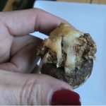 sausage-stuffed-mushrooms