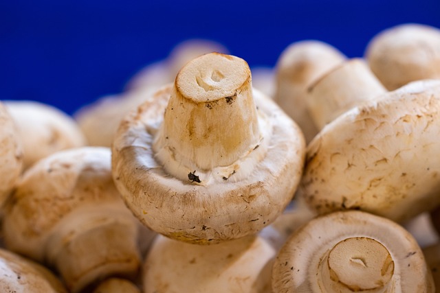 How to Clean Mushrooms